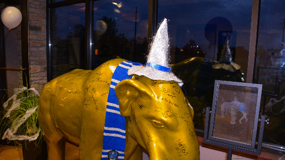 Develop, strengthen, and engage the Mastodon Alumni Community and the Fort Wayne campus, creating spirit and pride among our graduates.